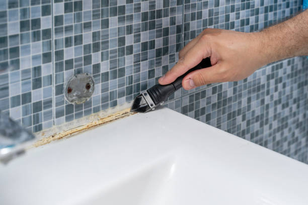 Best Industrial Mold Remediation in Lawton, OK