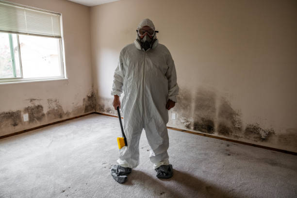 Best DIY Mold Remediation Support Services in Lawton, OK